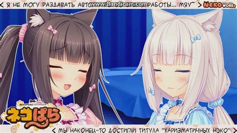 is nekopara on steam uncensored.